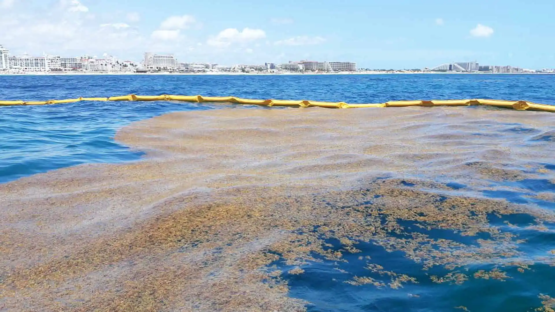 Enviro-USA – Heavy Duty Seaweed Barrier Heavy Duty and Medium Duty Seaweed Barrier, manufactured by Enviro-USA, in Florida, USA