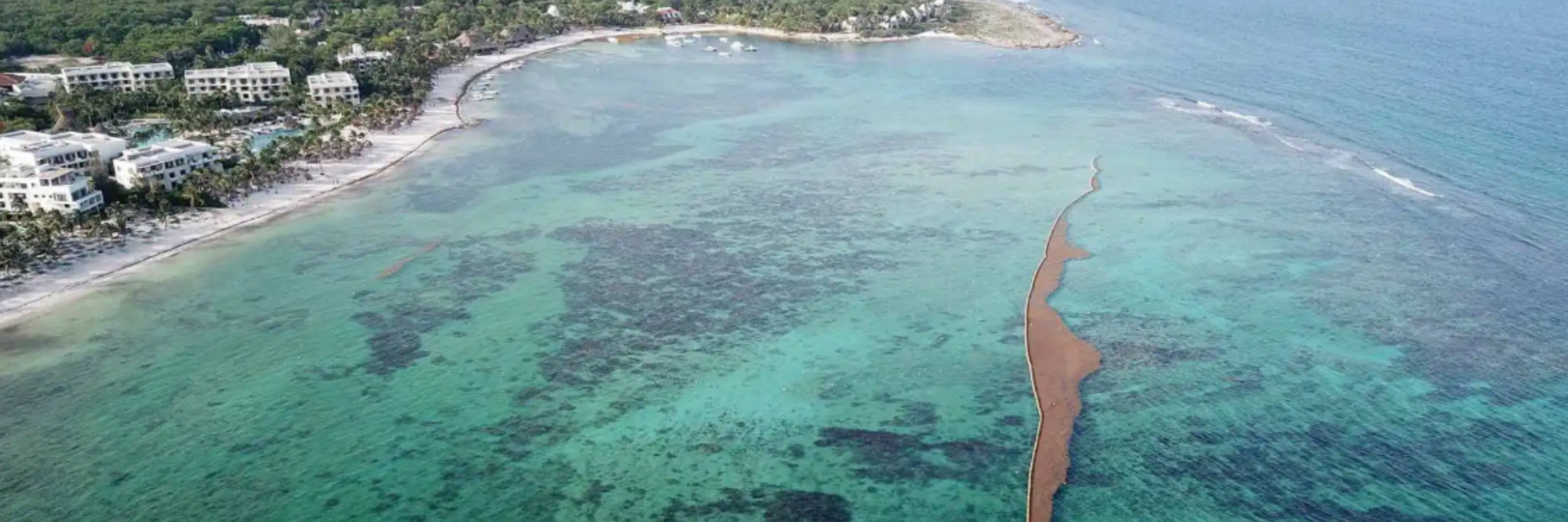 Sargassum Boom Ocean Sargassum Boom