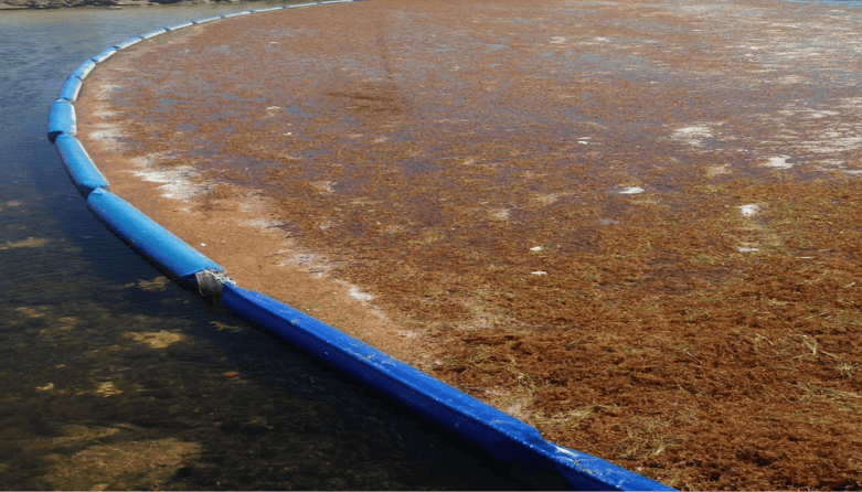 Sargassum Boom Enviro-USA Sargassum Boom Enviro USA